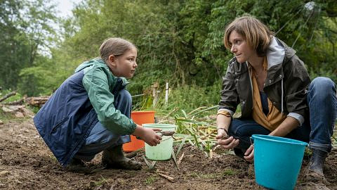 6 WuW 0460 drews stein